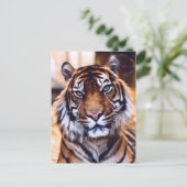 Tigerkatze Nah aufgewachsene Tierwelt Postkarte (Stehend Vorderseite)