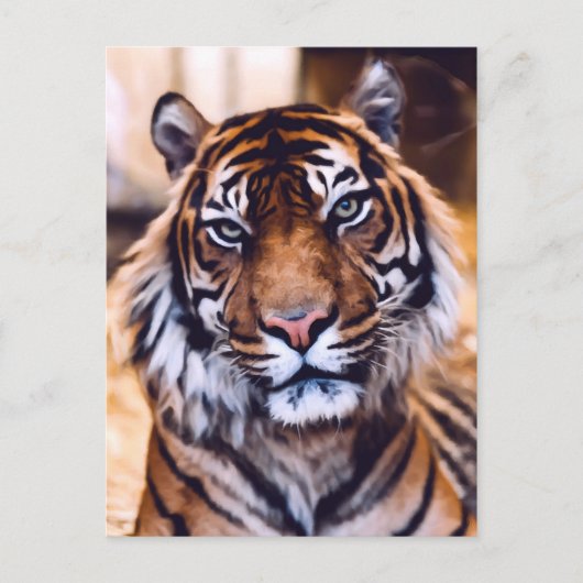 Tigerkatze Nah aufgewachsene Tierwelt Postkarte (Vorderseite)