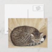 Tigerkatze Postkarte (Vorne/Hinten)
