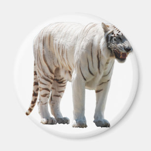 Tigerkatzenstreifen personalisieren diy Jubiläen Magnet