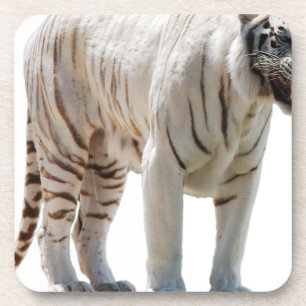 Tigerkatzenstreifen personalisieren diy Jubiläen Untersetzer