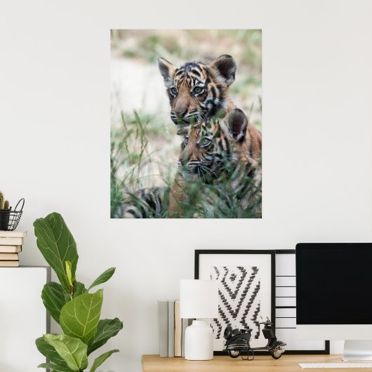 Tigerknochen Poster (Heimbüro)