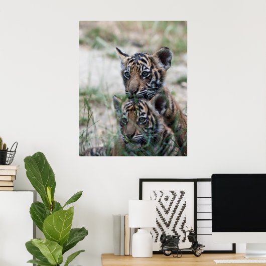 Tigerknochen Poster (Heimbüro)