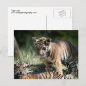 Tigerknochen Postkarte (Vorne/Hinten)