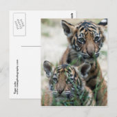 Tigerknochen Postkarte (Vorne/Hinten)