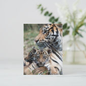 Tigerknochen Postkarte (Stehend Vorderseite)