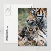 Tigerknochen Postkarte (Vorne/Hinten)