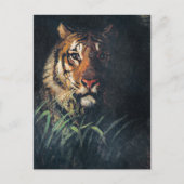 Tigerkopf, Gemälde, Postkarte (Vorderseite)