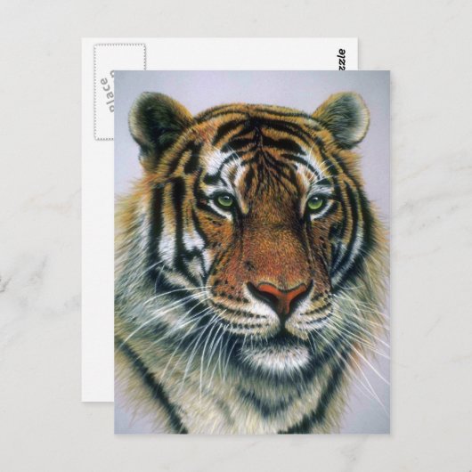 Tigerkopf Postkarte (Vorne/Hinten)