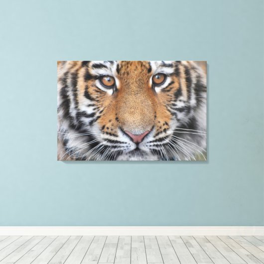 Tigerkopfgesicht Leinwanddruck (Insitu (Holzboden))