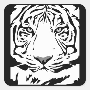 Tigerkopfkleber Quadratischer Aufkleber