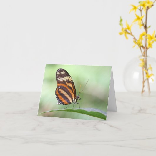 Tigerlangung Karte (Gelbe Blume)