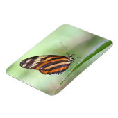 Tigerlangung Magnet (Linke Seite)