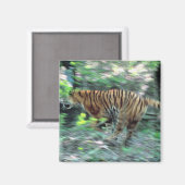 Tigerlauf Magnet (Vorderseite/Rückseite)