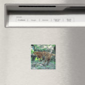 Tigerlauf Magnet (In Situ (Geschirrspüler))