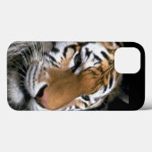 Tigerliebhaber Case-Mate iPhone Hülle (Rückseite (Horizontal))