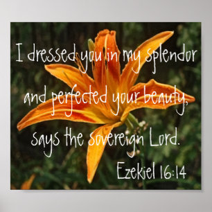 Tigerlilie Bibel Ezekiel 16:14 Poster