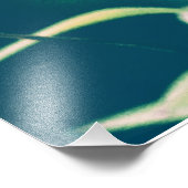 Tigerlilie Fotodruck (Ecke)