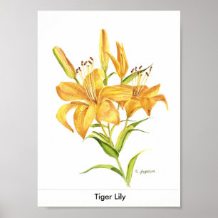 Tigerlilie im Gold und im gelben Aquarell Poster