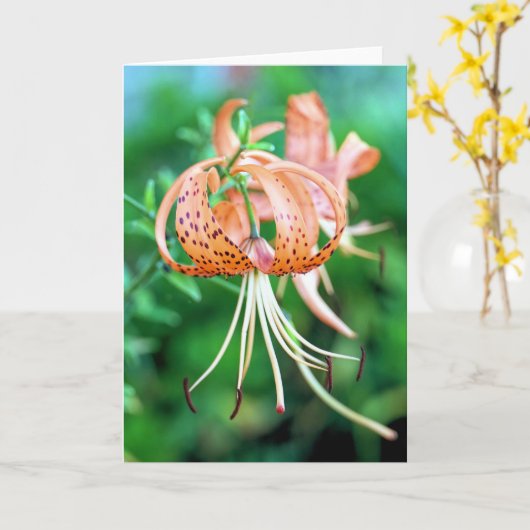Tigerlilie Karte (Gelbe Blume)