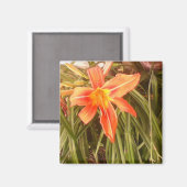 Tigerlilie Magnet (Vorderseite/Rückseite)