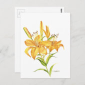 Tigerlilie Postkarte (Vorne/Hinten)