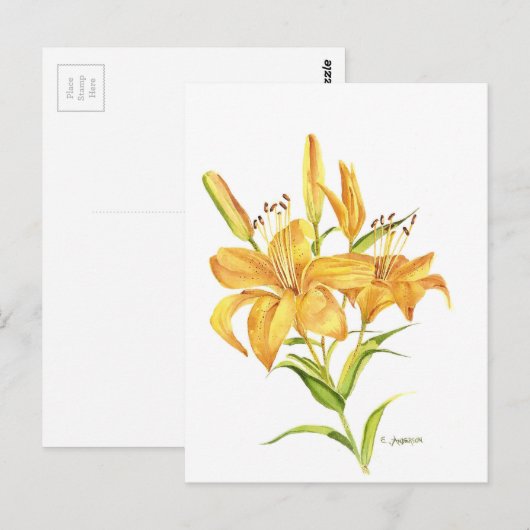 Tigerlilie Postkarte (Vorne/Hinten)