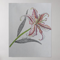 Tigerlilie, Wilde Lilie, Lily Blume, Orange Art