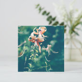 Tigerlilien blühen im Herbst (Stehend Vorderseite)