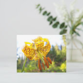Tigerlily Postkarte (Stehend Vorderseite)