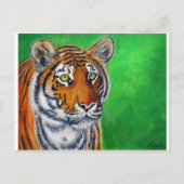 Tigermalerei Postkarte (Vorderseite)