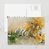 Tigermalerei Postkarte (Vorne/Hinten)