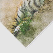 Tigermalerei Seidenpapier (Ausschnitt)