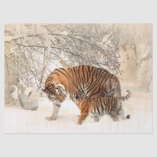 Tigermama und Baby-Tissue-Papier Seidenpapier (Vorderseite)