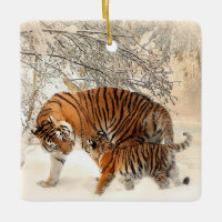 Tigermama und Babyporzellan