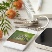 Tigermoskito Schlüsselanhänger (Vorderseite rechts)