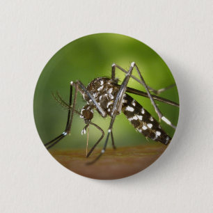 Tigermücke Button