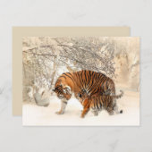 Tigermutter und Babypostkarte Postkarte (Vorne/Hinten)