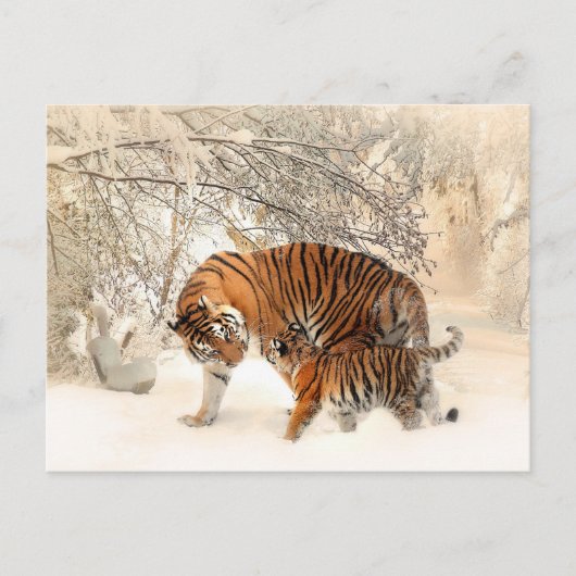 Tigermutter und Babypostkarte Postkarte (Vorderseite)