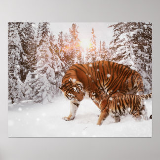 Tigermutter und Sohn Poster
