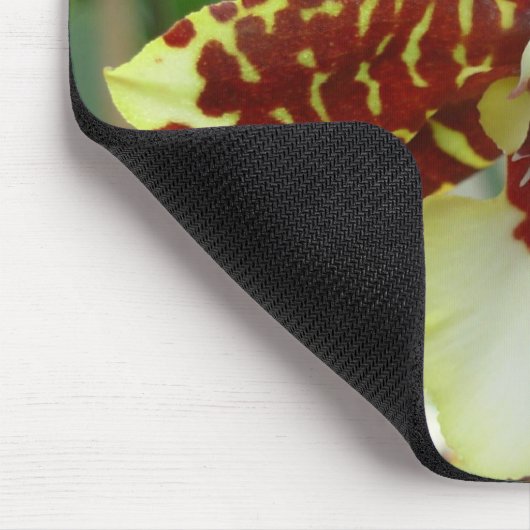 tigerorchid mousepad (Ecke)