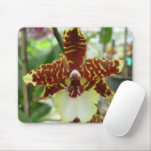 tigerorchid mousepad (Mit Mouse)