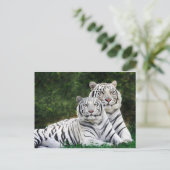 Tigerpaar Postkarte (Stehend Vorderseite)