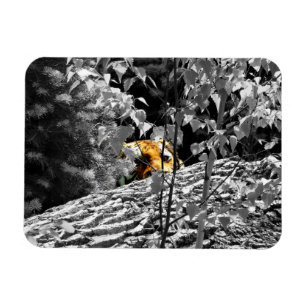 Tigerpeekaboo-flexibler Magnet