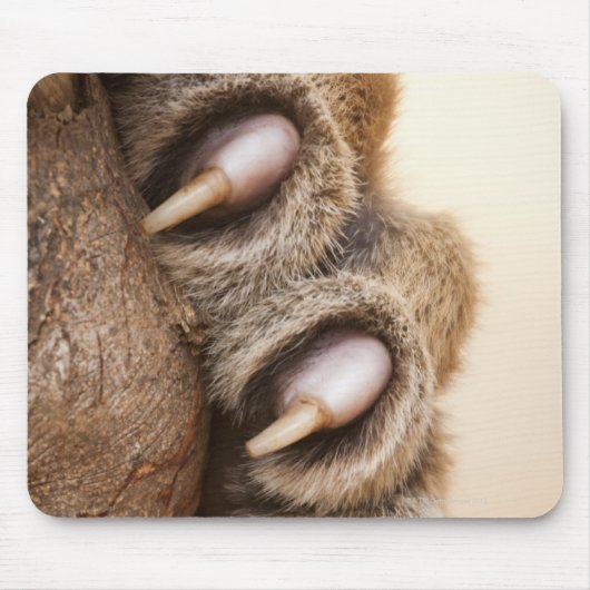 Tigerpfanne Mousepad (Vorne)
