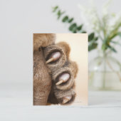 Tigerpfanne Postkarte (Stehend Vorderseite)