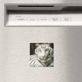 Tigerportrait Magnet (In Situ (Geschirrspüler))