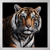 Tigerportrait Poster (Vorne)