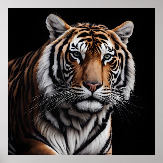 Tigerportrait Poster (Vorne)