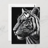 Tigerportrait Postkarte (Vorne/Hinten)